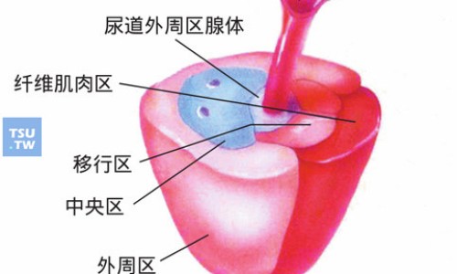 大活络胶囊的副作用和危害-大活络胶囊起什么功效网 - 为你提供大活络胶囊吃多久见效、大活络丹胶囊的功效与作用